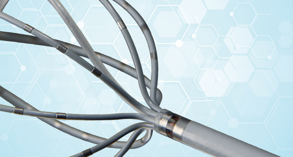 Electrophysiology Mapping Catheter - AMETEK Paragon Medical