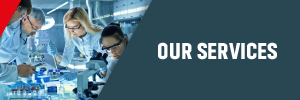 Our Services