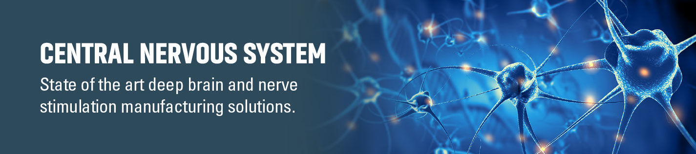 Central Nervous System