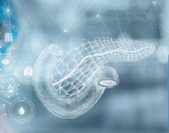 Endocrine System - Tile Image