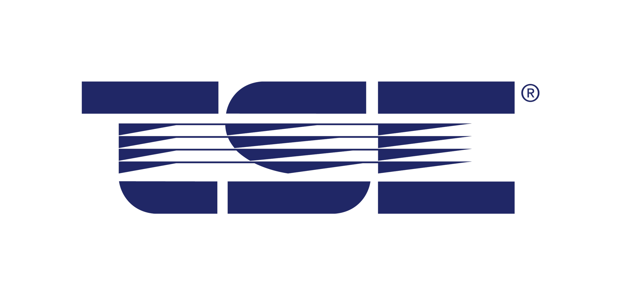 TSE Logo