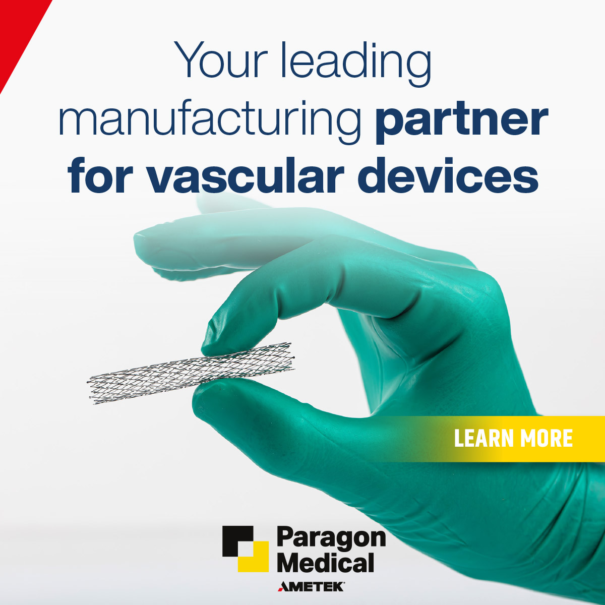 Vascular Device