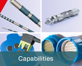 Capabilities